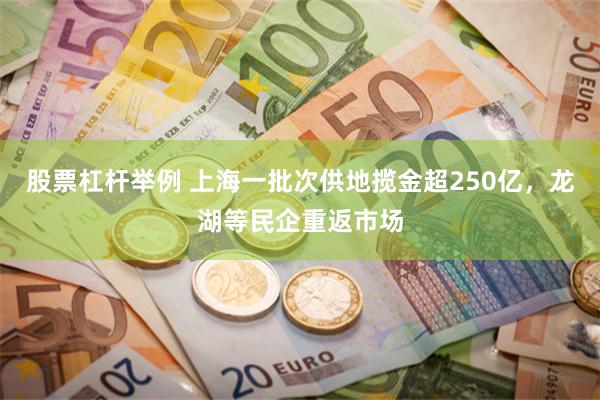 股票杠杆举例 上海一批次供地揽金超250亿，龙湖等民企重返市场