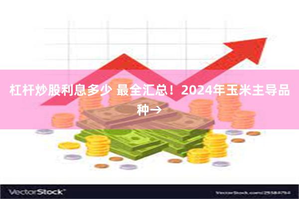 杠杆炒股利息多少 最全汇总！2024年玉米主导品种→