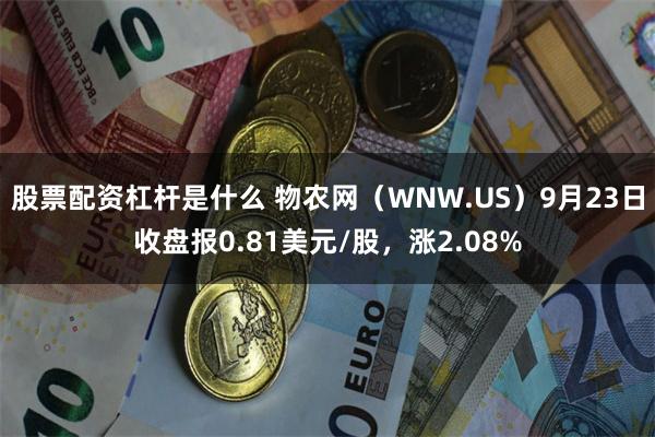 股票配资杠杆是什么 物农网（WNW.US）9月23日收盘报0.81美元/股，涨2.08%