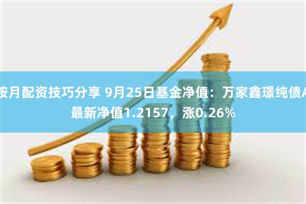 按月配资技巧分享 9月25日基金净值：万家鑫璟纯债A最新净值1.2157，涨0.26%