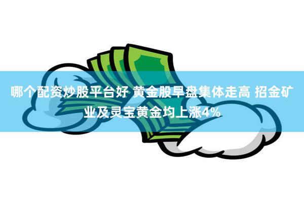 哪个配资炒股平台好 黄金股早盘集体走高 招金矿业及灵宝黄金均上涨4%