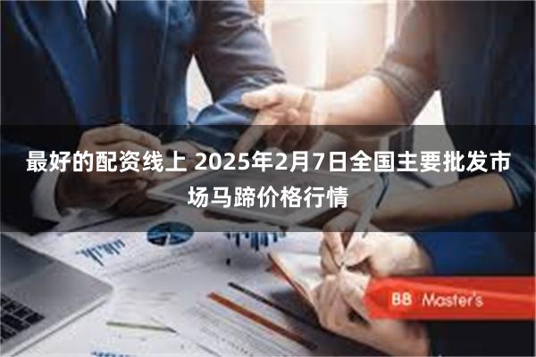 最好的配资线上 2025年2月7日全国主要批发市场马蹄价格行情